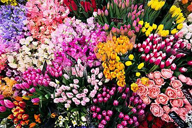 《最终幻想16》DLC将会揭开男主故事的黑暗和神秘